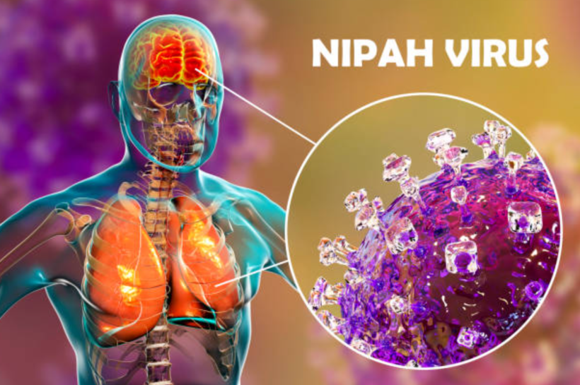 Nipah Virus in Kerala